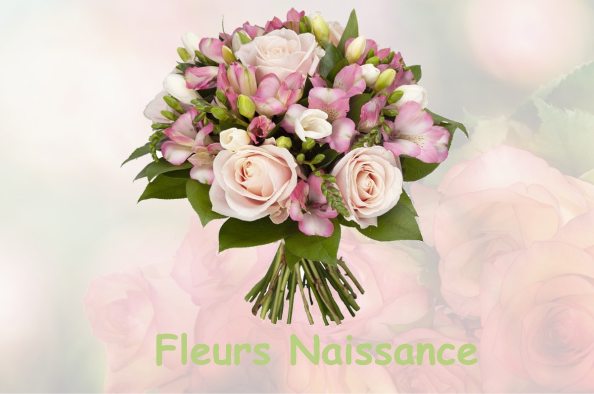 fleurs naissance SAINT-NAZAIRE-DES-GARDIES